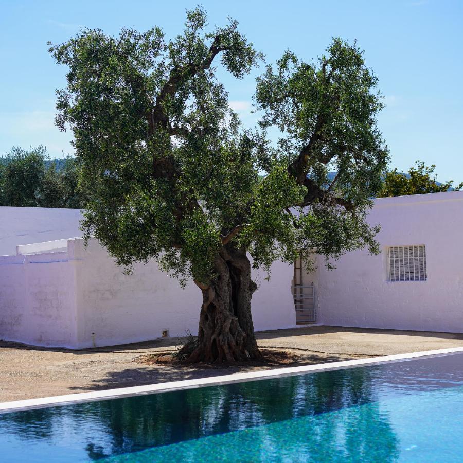 Masseria Pezze Galere Piscina Privata Fasano Exterior photo
