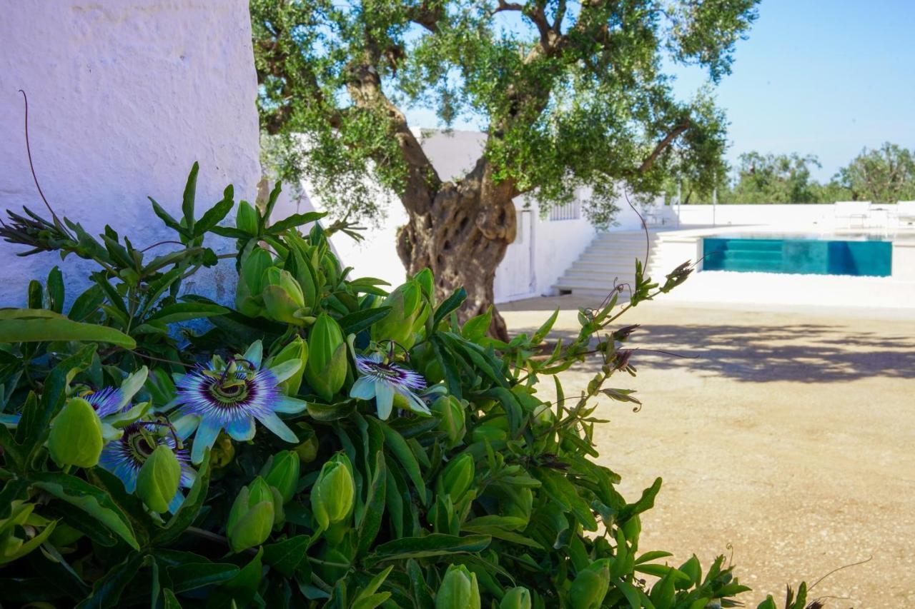Masseria Pezze Galere Piscina Privata Fasano Exterior photo